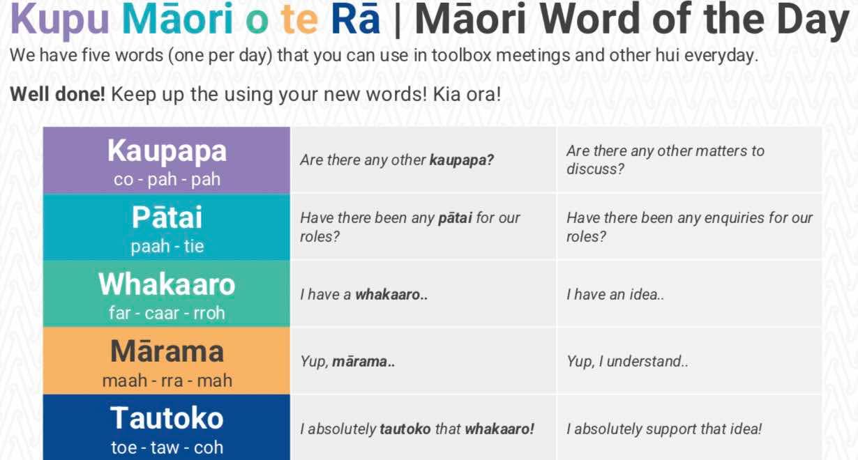 Photo of Vijay | 50 Wero Reo Māori