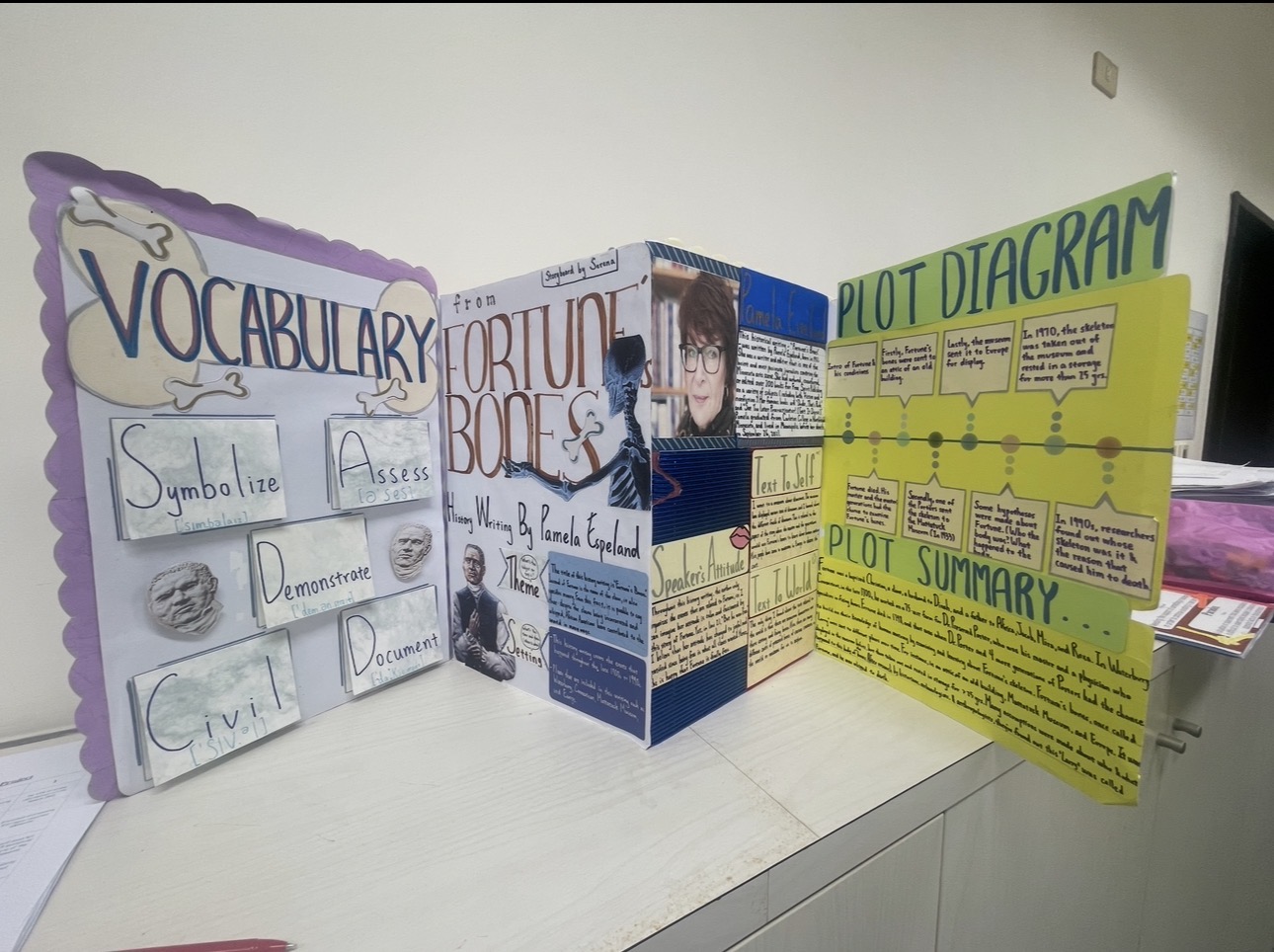 Literature Project Display