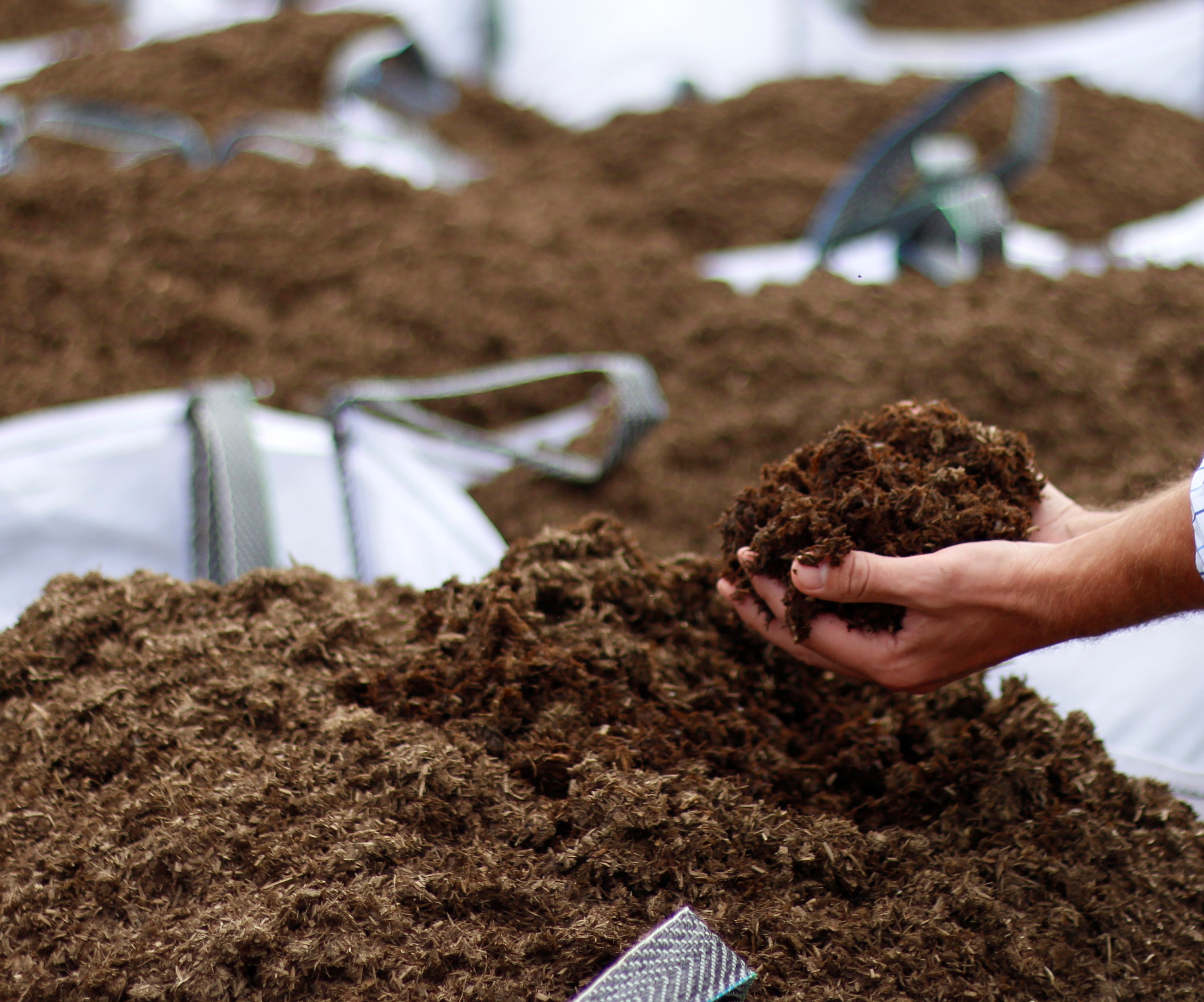 Muld Retain moisture in the soil with mulch