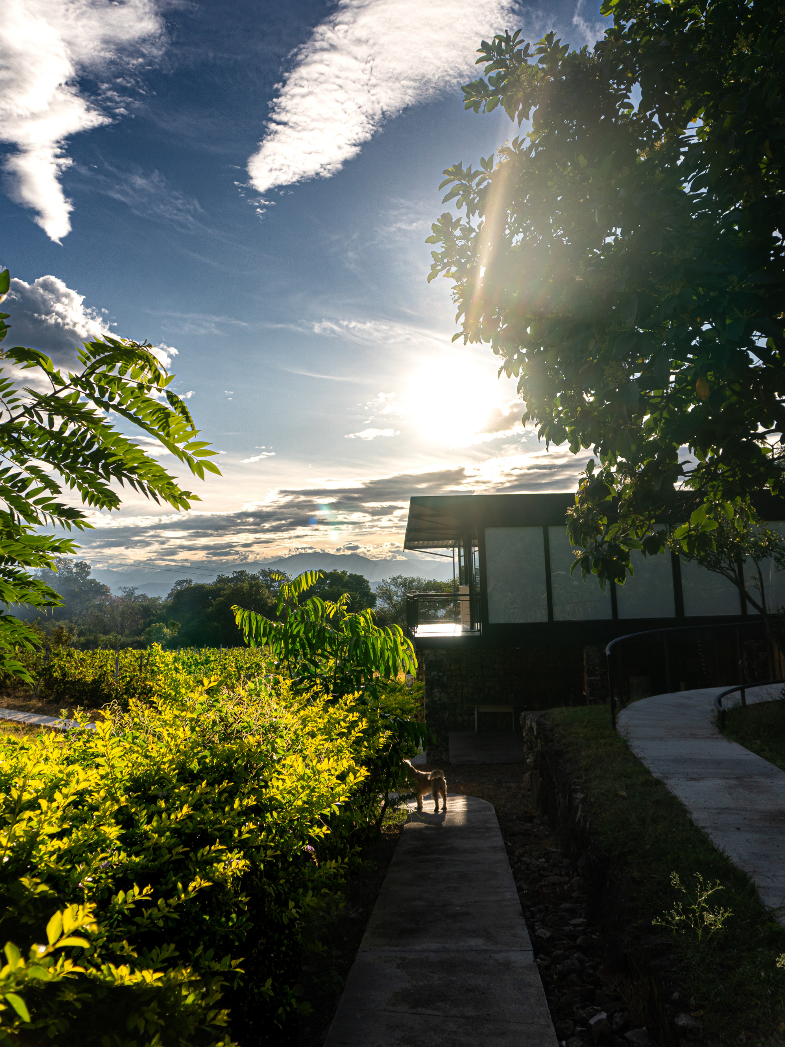 Finca Termópilas, vista general