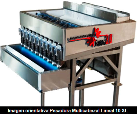 Pesadora multicabezal lineal 1 pesadora multicabezal lineal