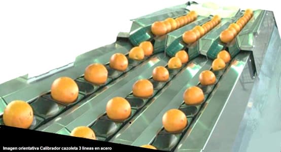 Calibrador electrónico de cazoletas 1 calibrador electronico de cazoleta