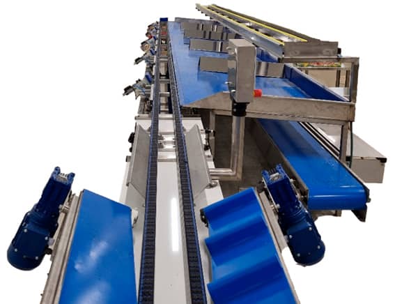 Calibrador electrónico bandas paralelas 1 calibrador electronico bandas paralelas