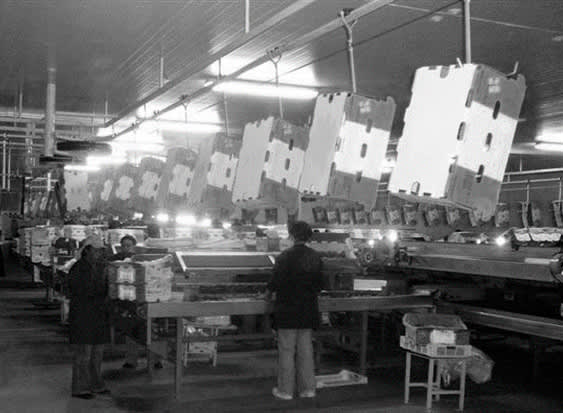 Transporte aéreo 1 transporte aereo