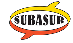 Nuestra Historia 22 Subasur