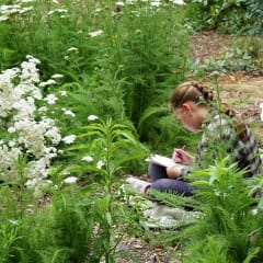 Shipley Nature Center, from its own website