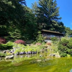 Hakone Estate and Gardens, from its own website