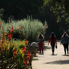 UC Riverside Botanic Gardens, from its own website