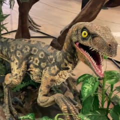 Buena Vista Museum of Natural History & Science, from its own website