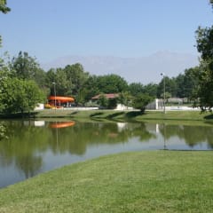 Cucamonga-Guasti Regional Park, from its own website