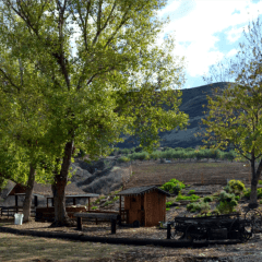 Greenspot Farms, from its own website