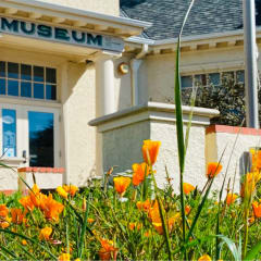 Santa Cruz Museum of Natural History, from its own website