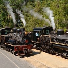Yosemite Mountain Sugar Pine Railroad, from its own website