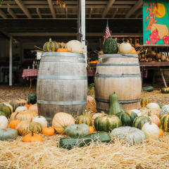 Summerset Farm, from its own website