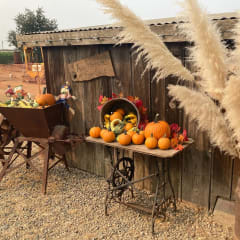 Keema's Pumpkin Farm, from its own website