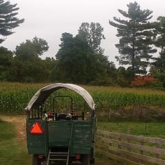 Tipple's Country Pumpkin Patch, from its own website