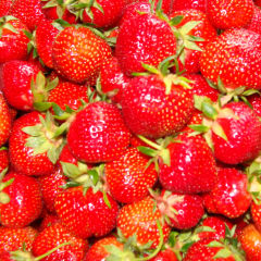Jackson's Farm Market, from its own website