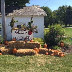 Geig's Orchard, from its own website