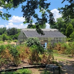 Gemini Peach and Rose Farm, from its own website