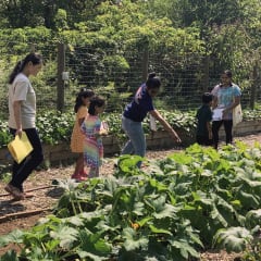 Chattahoochee Nature Center, from its own website