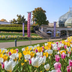 Phipps Conservatory and Botanical Gardens, from its own website