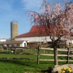 Milky Way Farm, from its own website