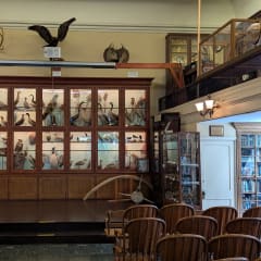 Delaware County Institute of Science, from its own website