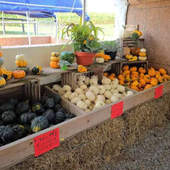 King’s Pumpkin Farm, from its own website