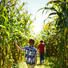 Northern Star Farm, from its own website