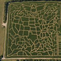 The Farmstead at Oregon Dairy - Corn Maze, from its own website