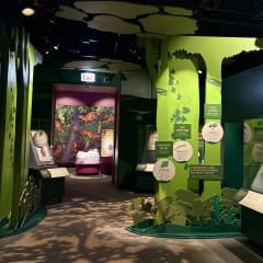 Field Museum, from its own website