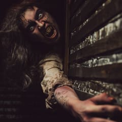 Midnight Terror Haunted House - #1 Must See Haunted House in Illinois, from its own website