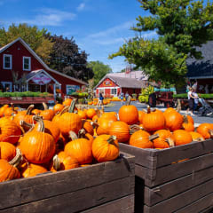 Sonny Acres Farm, from its own website