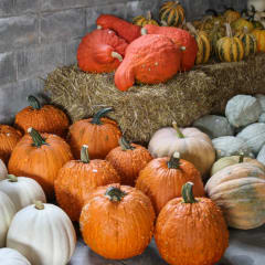 Turtle Hill Farm Market, from its own website