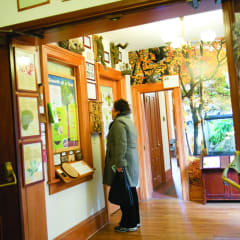 Trailside Museum of Natural History, from its own website