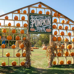 Woody's Orchard & Fun Farm, from its own website