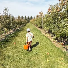 Jonamac Orchard, from its own website