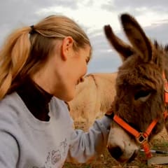 Liberty Acres Animal Haven & Equine Rescue, from its own website