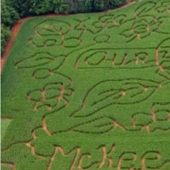 McKee CornField Maze, from its own website