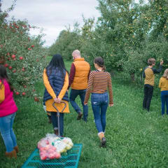Royal Oak Farm Orchard, from its own website