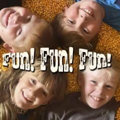 Shelby Corn Maze, from its own website