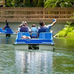 Pinto's Farm, from its own website