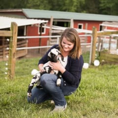 Ingram Farm, from its own website