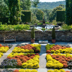 The North Carolina Arboretum, from its own website