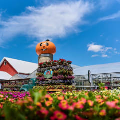 Goebbert's Farm - South Barrington, from its own website