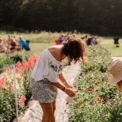 Twisted Roots Flower Farm, from its own website