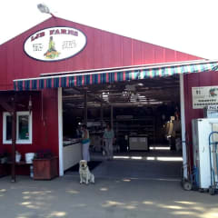 LJB Farms, from its own website
