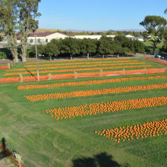 G&M Farms, from its own website