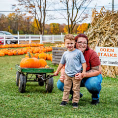 Pick'n Patch & Corn Maze, from its own website