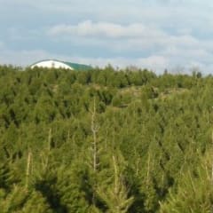 Woody Acres, from its own website